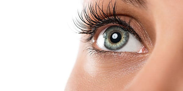Comprehensive Eye Exam image of eye