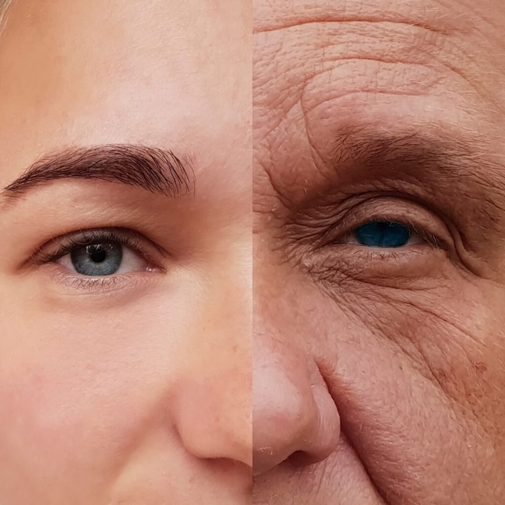 Young to old split image